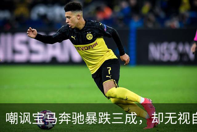 嘲讽宝马奔驰暴跌三成，却无视自己暴跌五成，谁更没脸？